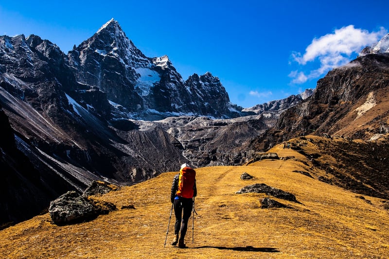 Mindful Hike