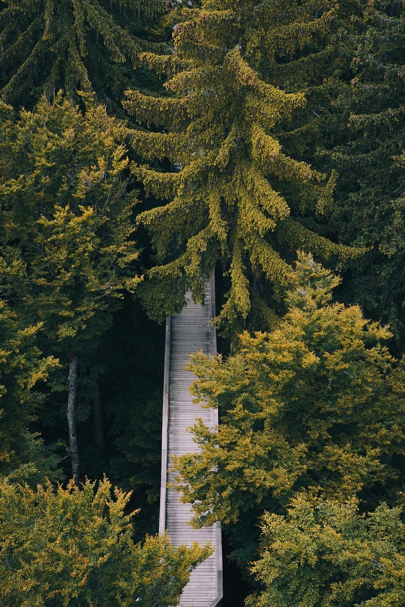 Refreshing Walk